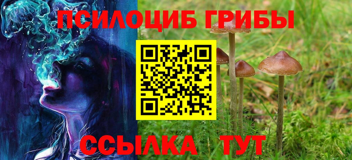 Псилоцибиновые грибы мухоморы  Галлюциногенные грибы MAGIC MUSHROOMS  наркошоп  Вход с VPN  Трёхгорный 